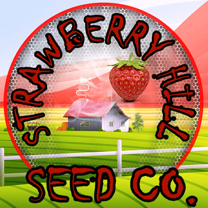 Strawberry Hills Seed Collective